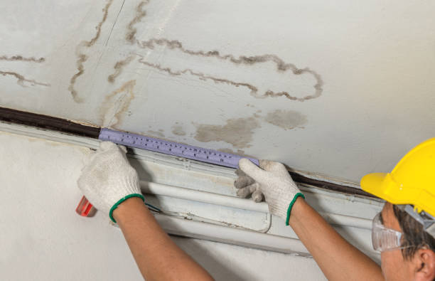 Reliable Burst Pipe Cleanup contractor in Newton Center, MA by Water Damage Irwin
